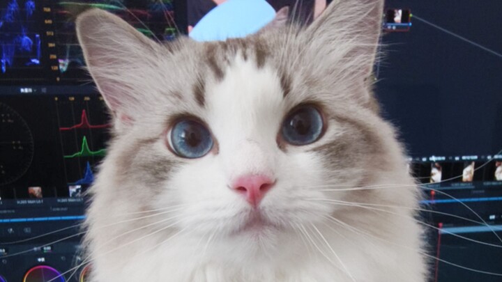 Công việc quan trọng hay tôi quan trọng?