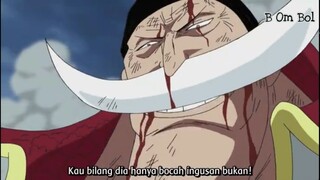 Ungkapan rasa bangga Shirohige terhadap luffy.