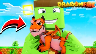 MY NEW BABY TIGER DRAGON! - Minecraft DragonFire Official #12