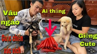 Săn Bắt Ẩm Thực Vùng Cao, Cuộc Chiến Xúc xích Giữa Vâu Ngáo Và Giềng Cute| Tường Vy Vlog