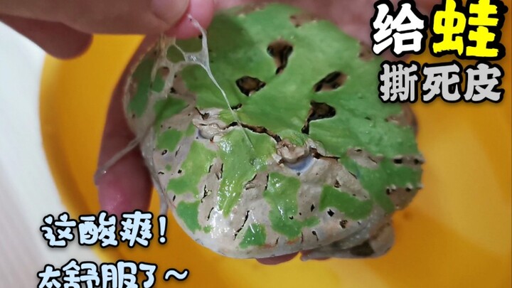 Di usia 7 tahun, dia nggak bisa makan atau ganti kulit sendiri. Aku rendam dia di bak mandi untuk le