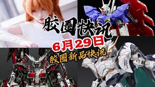 【6月29日胶圈快讯】