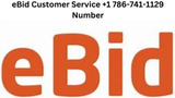 eBid Customer Service +1 786-741-1129 Number