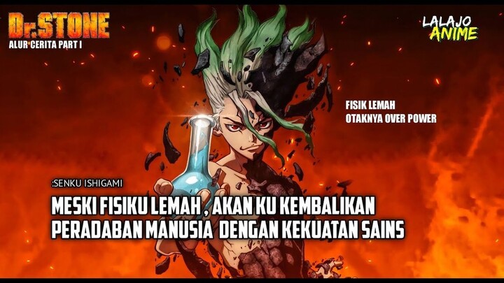 KISAH ANAK MUDA YANG OTAKNYA OVER POWER... ALUR CERITA ANIME _ DR STONE _ PART 1