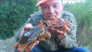 CUA OM QUẢ VẢ • Thành Lập kênh Mới "HVK"