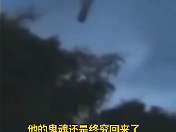 One person said: I wish Wang Ziyao a successful revenge