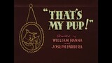 Tom & Jerry S03E25 That's My Pup!