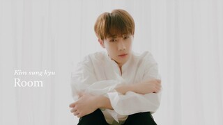 [LIVE CLIP] 김성규(Kim Sung Kyu) - Room | INSIDE ME