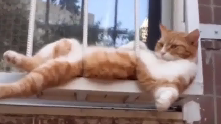 Snap a better-looking shot!