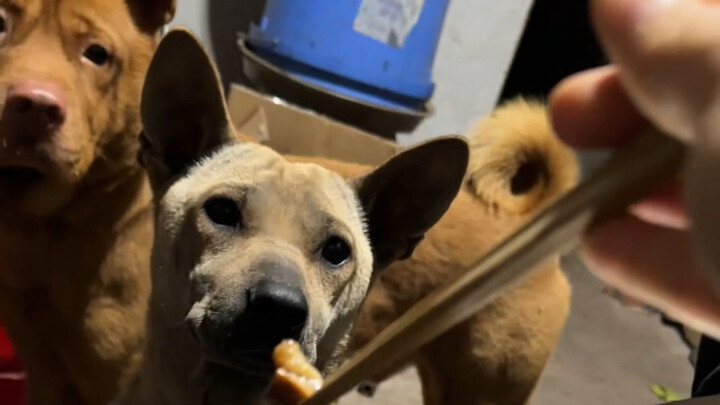 Đây là căn phòng nhỏ, chỉ có đức hạnh của ta tỏa hương.