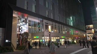 Japan  Akihabara Kiso-Honnou