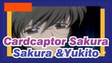Cardcaptor Sakura
Sakura &Yukito