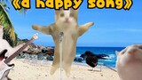 [100 million times per day] Happy cat teaches you to sing happy songs