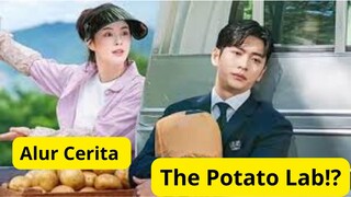 Alur Cerita Drakor The Potato Lab!?