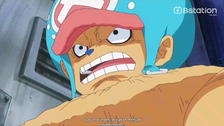 Monkey D Luffy   king of pirates