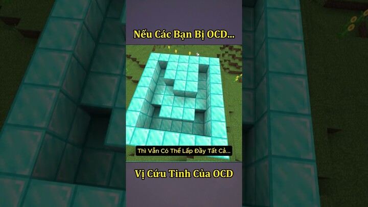 Vị Cứu Tinh Của Những Bạn Bị OCD Trong Minecraft 🤣 #shorts