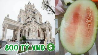 Top comment hài về giao bán biệt thự 800 tỷ trên Face Book.