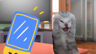 【Cat meme】If fate cannot be changed, try to live on
