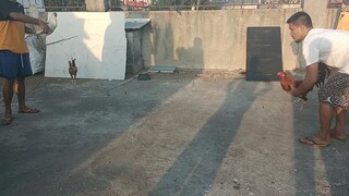 dinaya pa puti