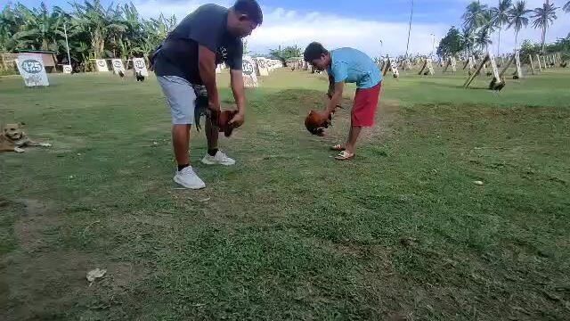 exercise
