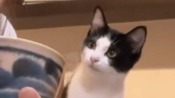 "Healing a Bad Mood"