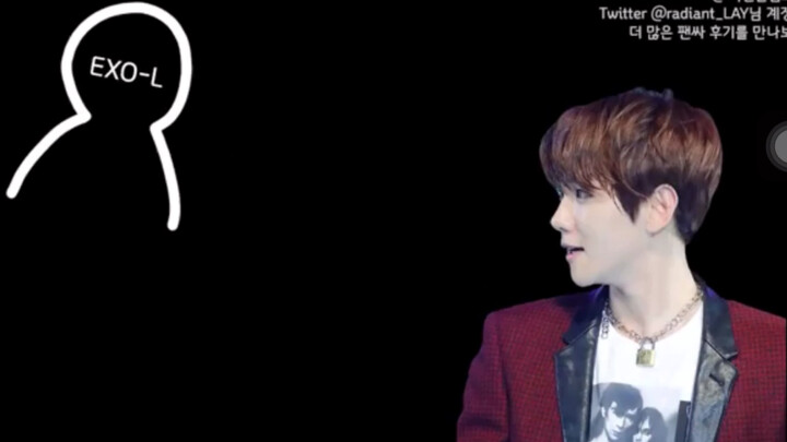 【EXO】Baekhyun’s Sweet Chat with an EXO-L at the Autograph Session—So Cuteness Overload! Hu Zi’s Voic