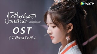 OST.MV: "ชีวิตนี้เพื่อท่าน" | ขับร้องโดยจ้าวลู่ซือ | ศิษย์สาวป่วนสำนัก | WeTV