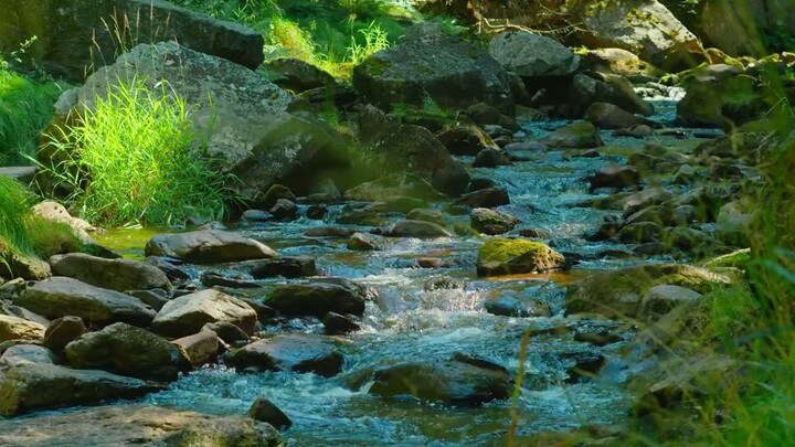 Stream With Relaxing Guitar Sound and Natural Nature Sound. Sounds of Healing Depression and Stress