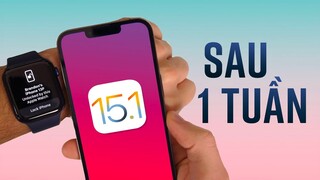 iOS 15.1 sau 1 TUẦN: Máy đang mượt thì ĐỪNG LÊN, vì lỗi vẫn HOÀN LỖI!