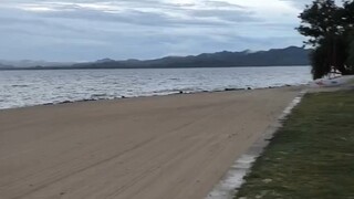 不是路不平而是你不行不是努力沒用，是沒用的你在努力強者不畏環境,弱者窮一生找藉口不是學歷沒用，是沒用的你在求學歷~🤔🙄😅