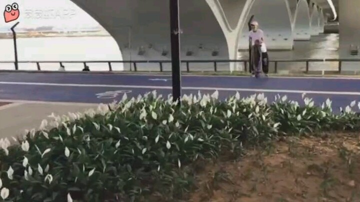 So close, but it wasn’t quite enough… What a shame!