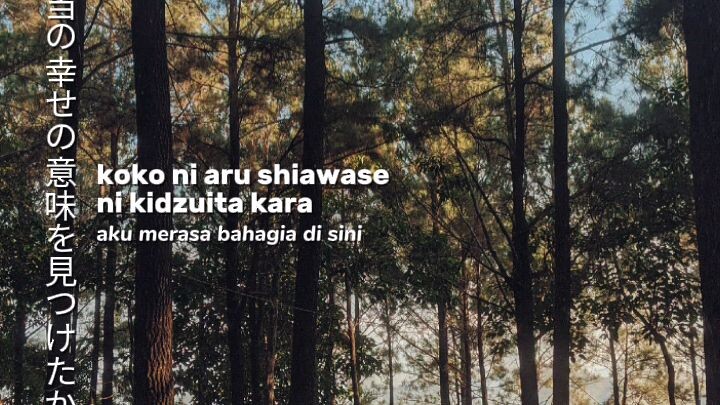 ひまわりの約束