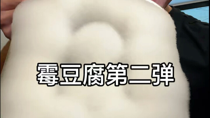 Moldy tofu is so much fun! I did it again—this time it actually worked!