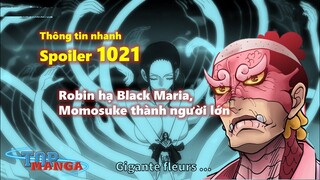 Thông tin nhanh Spoiler One Piece 1021