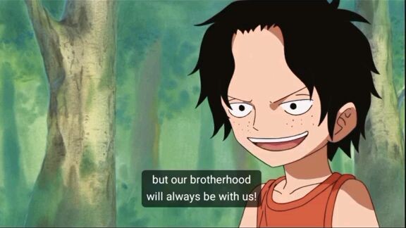 one piece lover