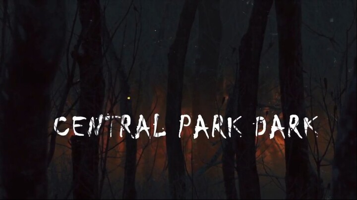 Central_Park_Dark_Hindi_Dubbed