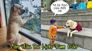 Bỏ nhà lên Tam Đảo chơi, Cà Rốt lại bị say xe rồi huhu