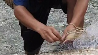 cast net fishing in Nepal | asala fishing | himalayan trout fishing |