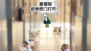 当我是体校女宿管时