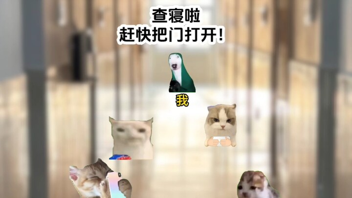 当我是体校女宿管时