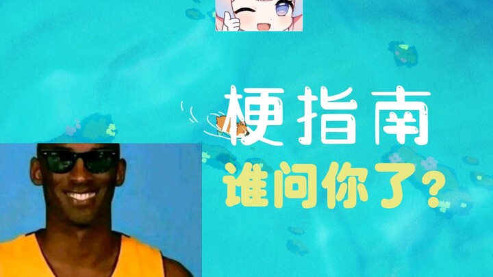谁问你了是什么梗【伪梗指南】