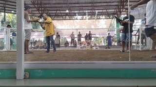 2wins libagon so. leyte 1st fight win