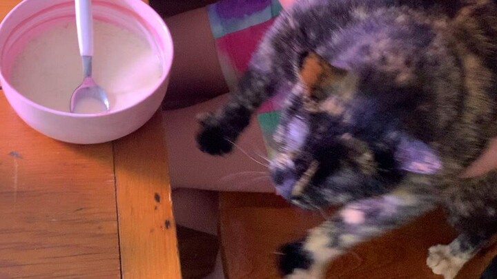 งั่ม งั่ม งั่ม