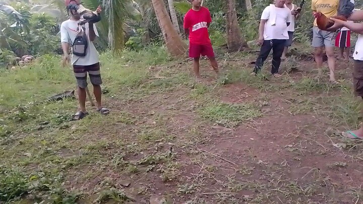 PANO talisay ko Kaso patay din ²×win