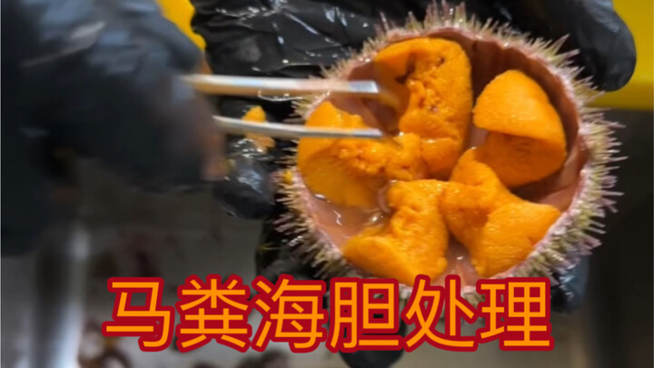 Cách xử lý nhum biển sau khi mua về