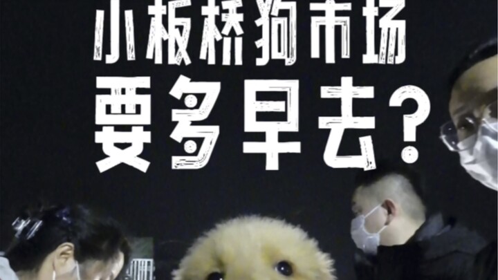 ที่คุนหมิง ซื้อสุนัขต้องรีบหน่อย ไม่อย่างนั้นจะเสียใจไม่ทัน