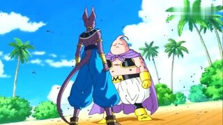 Beerus beat up Fat Buu and stepped on Son Goku! Vegeta was so scared when he saw it.