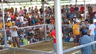 1st fight win,,dalusapi