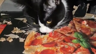 Look how hungry the kid is