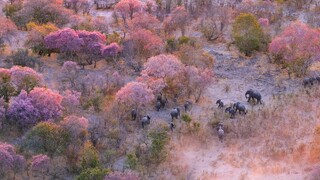 Đồng bằng Okavango Botswana